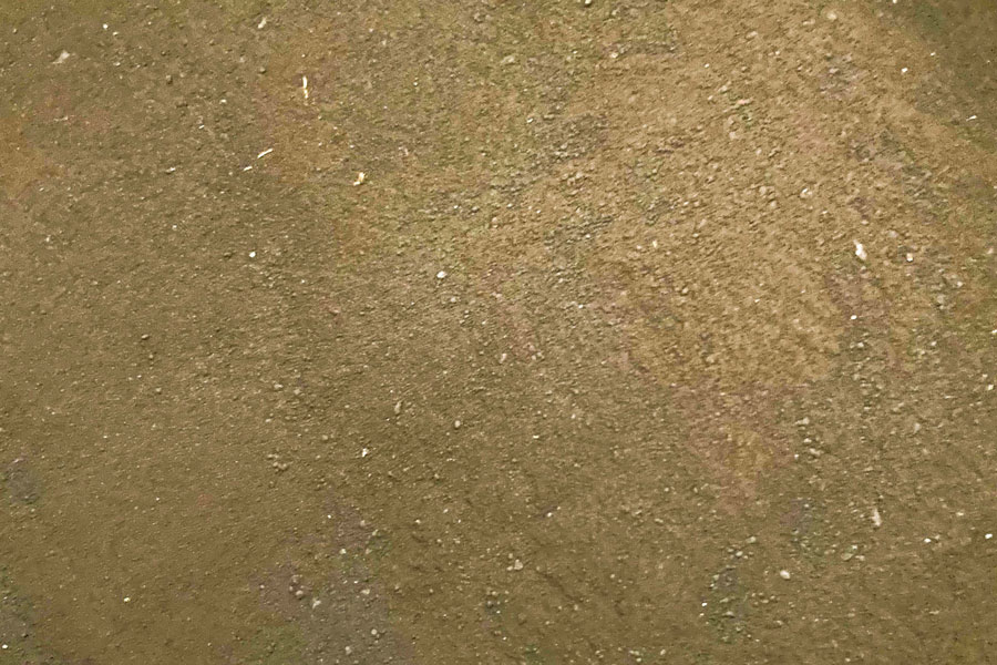 Watch as the CentriFlow Measures the flow of Blood Meal